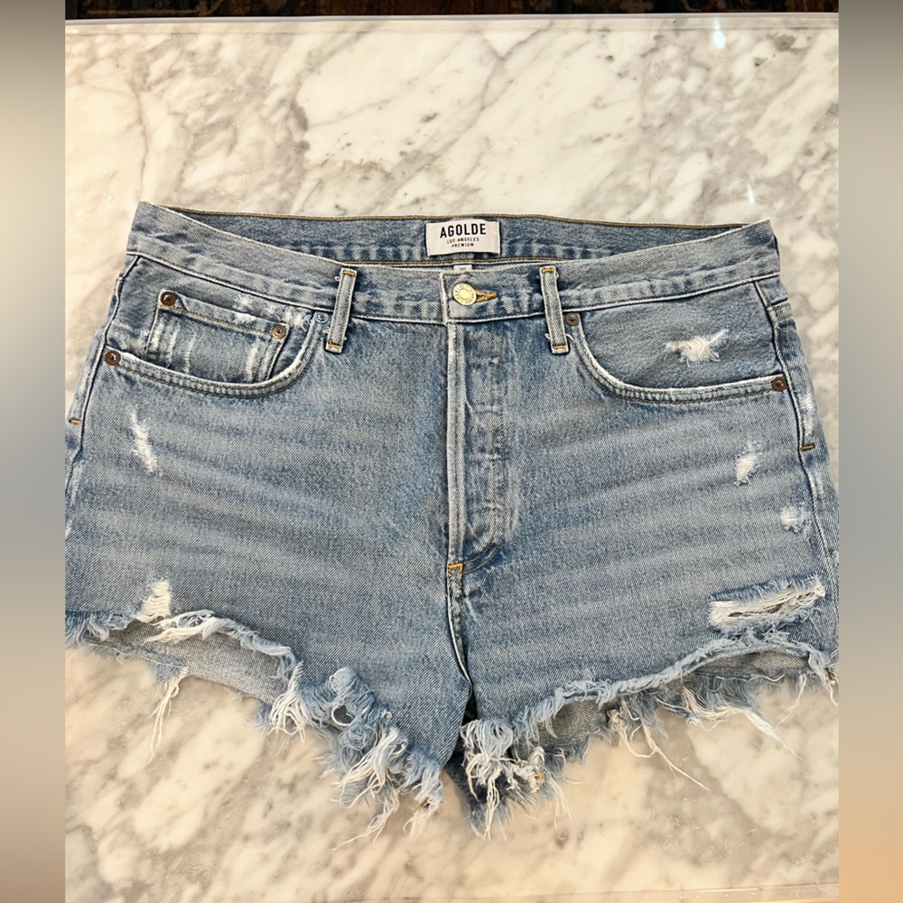 AGOLDE Parker Vintage Shorts in Swampmeet